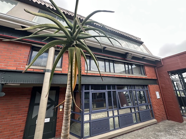 To Let Commercial Property for Rent in Observatory Western Cape